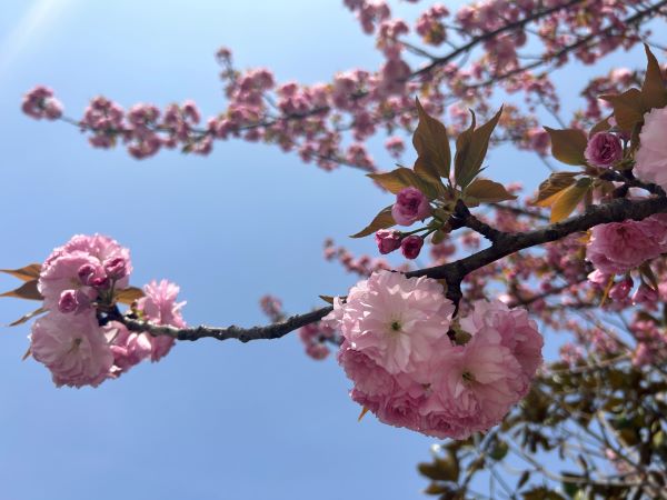 微信图片_20250411110615