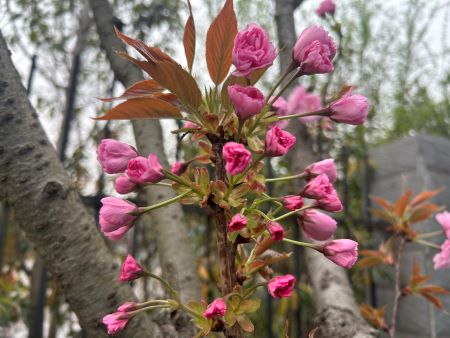 微信图片_20250411110550