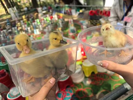 微信图片_20250410102331